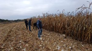 558158922_24734827376170248_720781357987102145_n