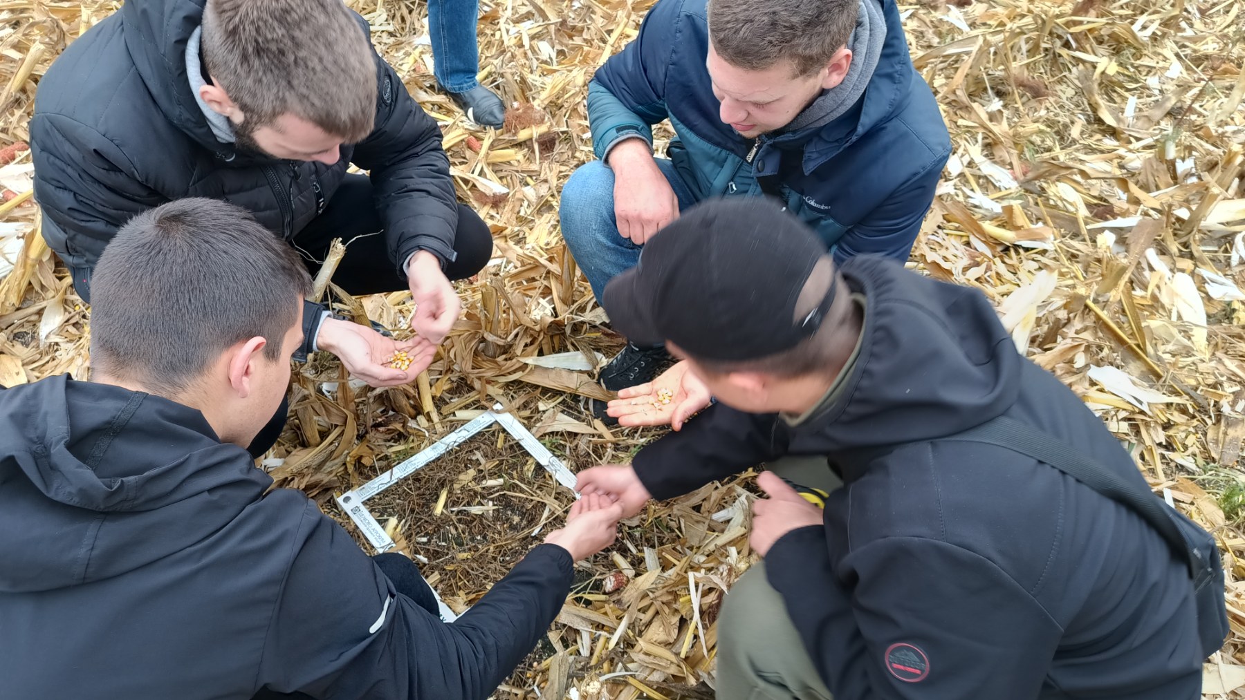 558787022_24734826869503632_1422387790649114547_n