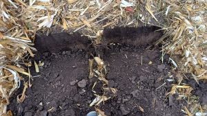 558847740_24734827472836905_295229475632230307_n