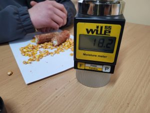 559323851_25483288377935016_379751255270310313_n