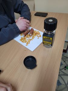 561374845_25483288671268320_4509014895038834001_n