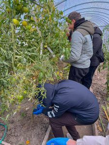 566218295_1868301240423944_8448930047186023420_n