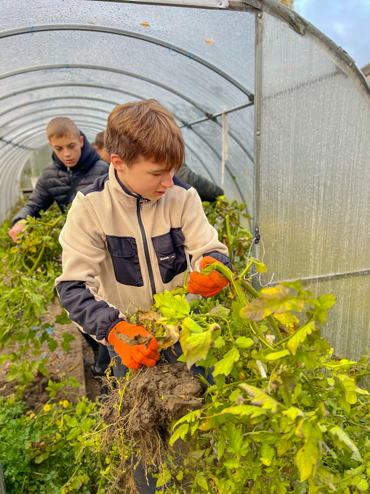 Ви зараз переглядаєте Осінні турботи агрономів