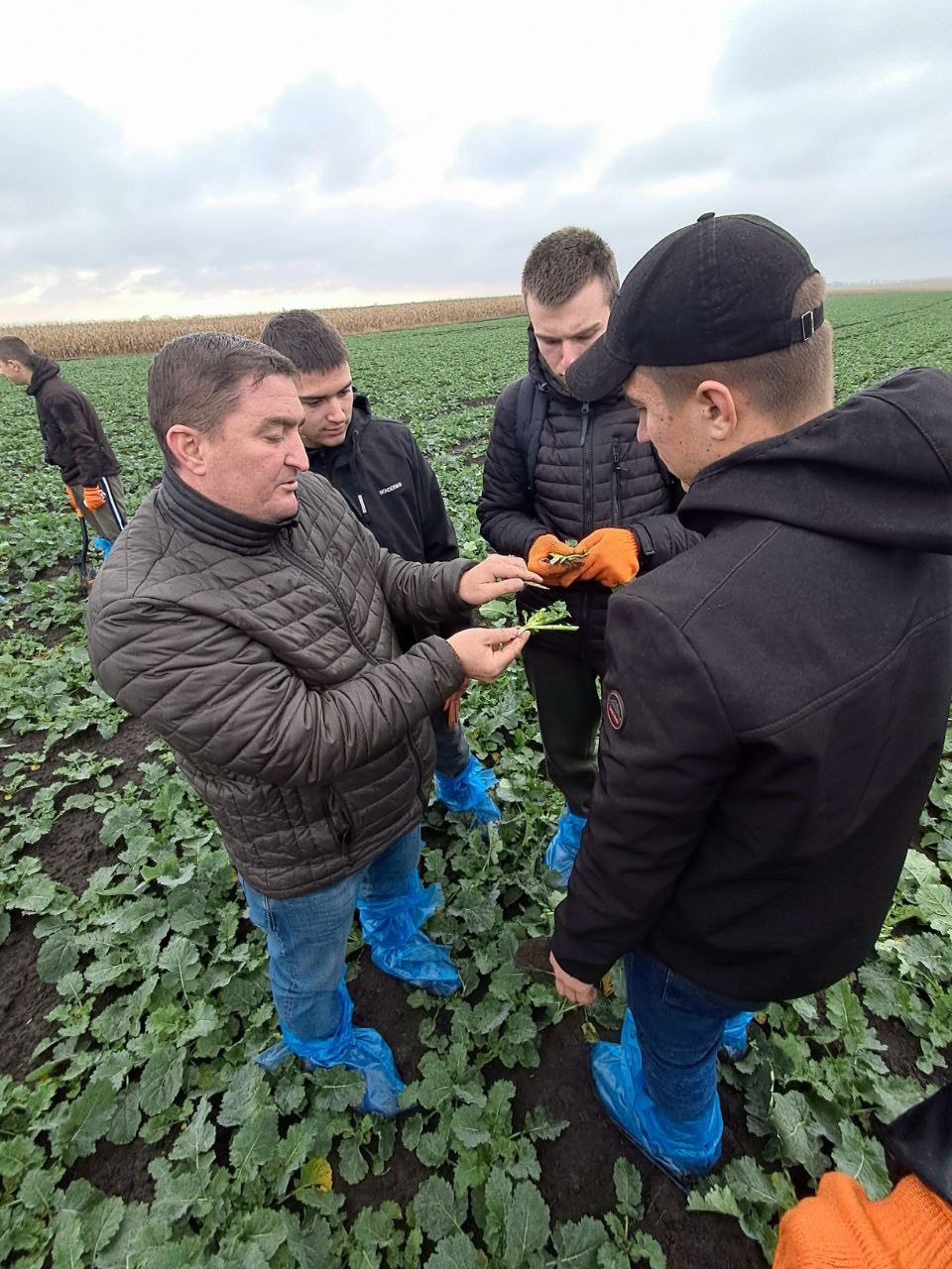 Ви зараз переглядаєте Практичні Навички Агрономів Майбутнього: Звіт з Польової Практики!