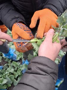 575194746_25700619372868581_309543232322795405_n