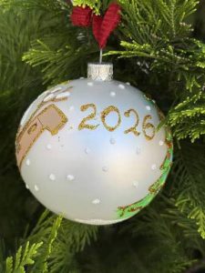 597156282_1619452529467300_7777623306299068931_n