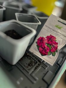 645656279_1971930486727685_2116958310284483151_n