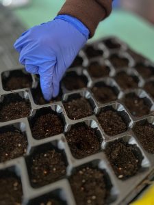 646298701_1971930470061020_5749647916629371685_n