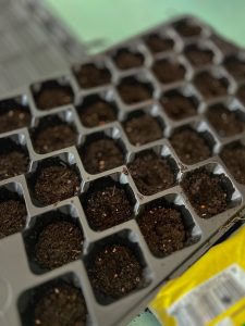 646372205_1971930416727692_732872922555857401_n