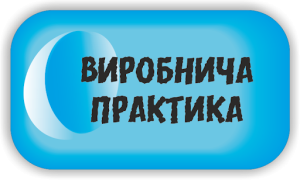 Детальніше про статтю Захист звітів виробничої практики студентів